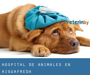 Hospital de animales en Aiguafreda