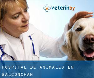 Hospital de animales en Balconchán