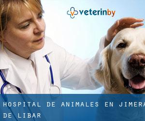 Hospital de animales en Jimera de Líbar