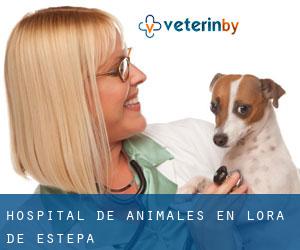 Hospital de animales en Lora de Estepa