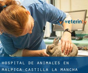 Hospital de animales en Malpica (Castilla-La Mancha)