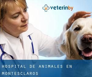 Hospital de animales en Montesclaros