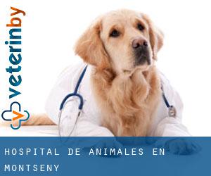 Hospital de animales en Montseny