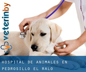 Hospital de animales en Pedrosillo el Ralo