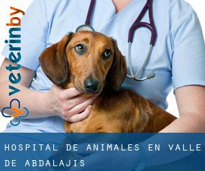 Hospital de animales en Valle de Abdalajís