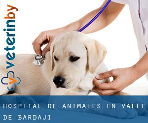 Hospital de animales en Valle de Bardají