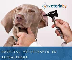 Hospital veterinario en Aldealengua