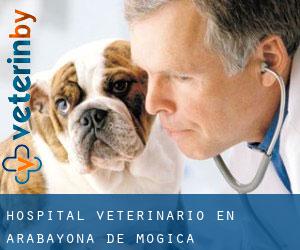 Hospital veterinario en Arabayona de Mógica