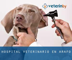 Hospital veterinario en Arafo