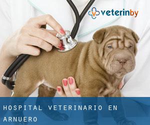 Hospital veterinario en Arnuero