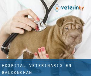 Hospital veterinario en Balconchán