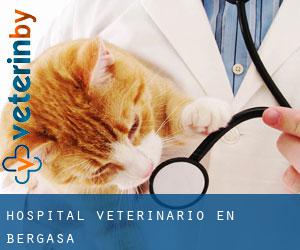 Hospital veterinario en Bergasa