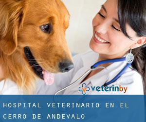 Hospital veterinario en El Cerro de Andévalo