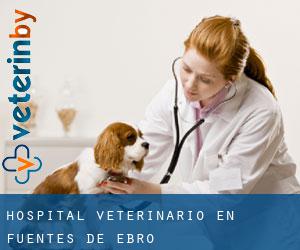 Hospital veterinario en Fuentes de Ebro