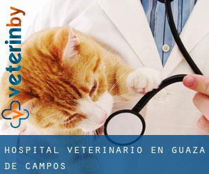 Hospital veterinario en Guaza de Campos