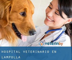 Hospital veterinario en L'Ampolla