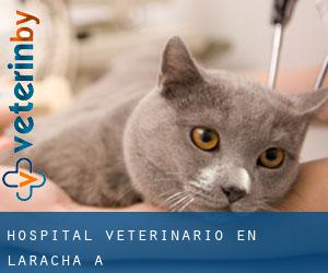 Hospital veterinario en Laracha (A)