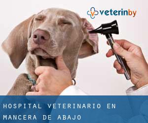 Hospital veterinario en Mancera de Abajo