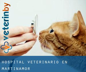 Hospital veterinario en Martinamor