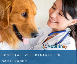 Hospital veterinario en Martinamor