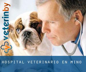 Hospital veterinario en Miño