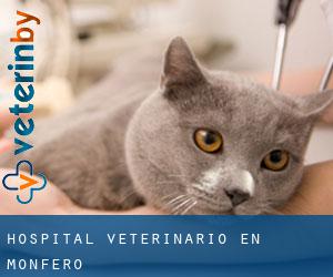 Hospital veterinario en Monfero