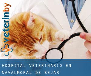 Hospital veterinario en Navalmoral de Béjar