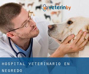 Hospital veterinario en Negredo