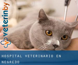Hospital veterinario en Negredo
