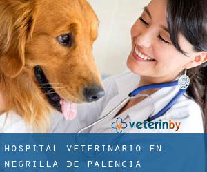 Hospital veterinario en Negrilla de Palencia