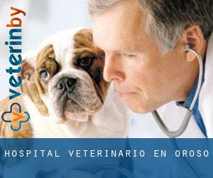 Hospital veterinario en Oroso