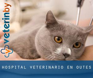 Hospital veterinario en Outes