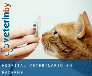 Hospital veterinario en Paderne