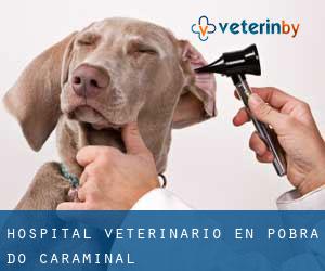 Hospital veterinario en Pobra do Caramiñal