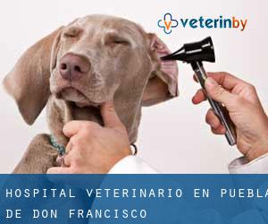 Hospital veterinario en Puebla de Don Francisco