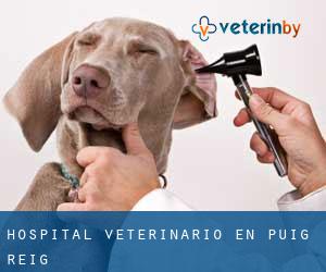 Hospital veterinario en Puig-reig