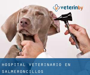 Hospital veterinario en Salmeroncillos