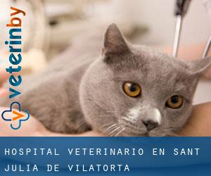 Hospital veterinario en Sant Julià de Vilatorta