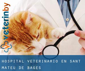 Hospital veterinario en Sant Mateu de Bages