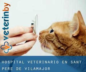 Hospital veterinario en Sant Pere de Vilamajor