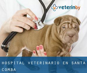 Hospital veterinario en Santa Comba