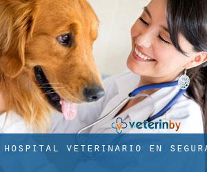 Hospital veterinario en Segura