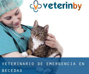 Veterinario de emergencia en Becedas