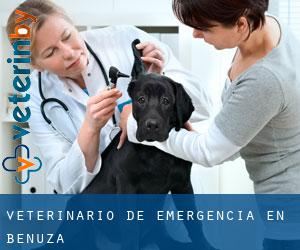 Veterinario de emergencia en Benuza