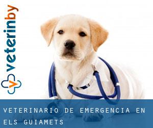 Veterinario de emergencia en els Guiamets