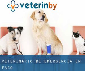 Veterinario de emergencia en Fago