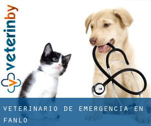 Veterinario de emergencia en Fanlo