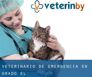 Veterinario de emergencia en Grado (El)