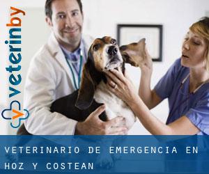 Veterinario de emergencia en Hoz y Costean