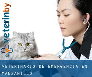 Veterinario de emergencia en Manzanillo